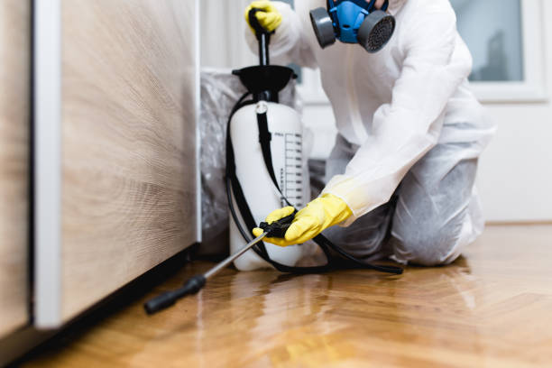 Pest Control for Restaurants in Pahrump, NV