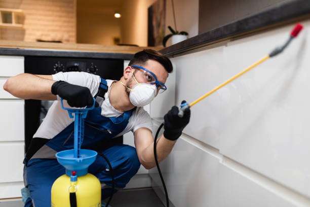 Best Best Pest Control Companies  in Pahrump, NV