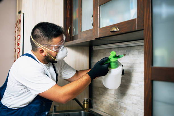 Best Commercial Pest Control Services  in Pahrump, NV