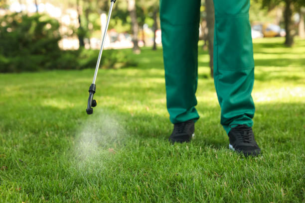 Best Pest Prevention Services  in Pahrump, NV