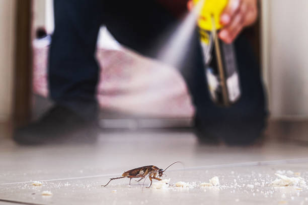 Best Best Pest Control Companies  in Pahrump, NV