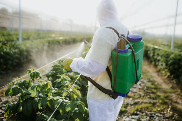 Best Cockroach Control Services  in Pahrump, NV